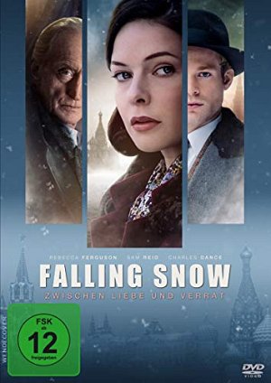 Falling Snow - Zwischen Liebe und Verrat [DVD]