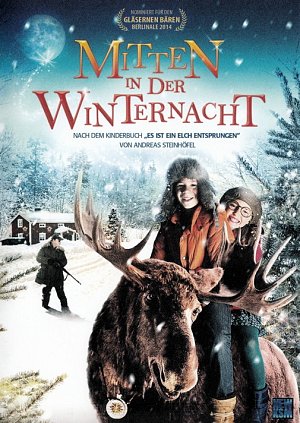 Mitten in der Winternacht  [DVD]