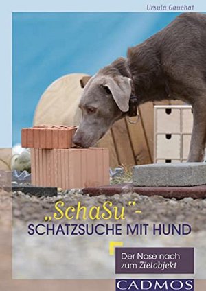 SchaSu - Schatzsuche mit Hund
