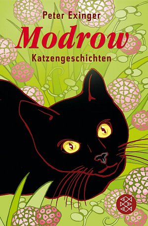 Modrow - Katzengeschichten