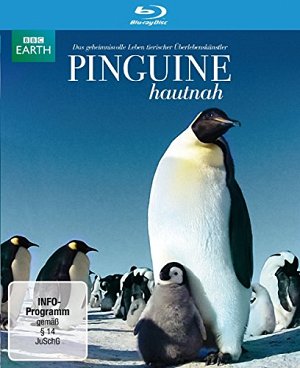 Pinguine hautnah [Blu-ray]
