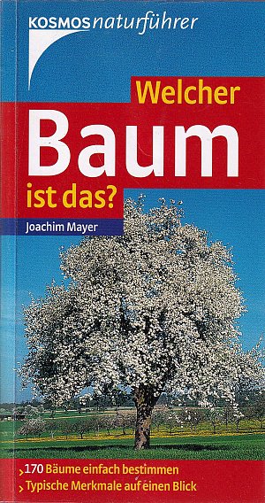 Welcher Baum ist das?