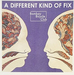 A Different Kind of Fix [CD]
