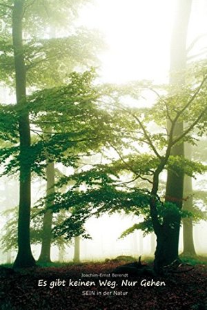 Es gibt keinen Weg. Nur Gehen