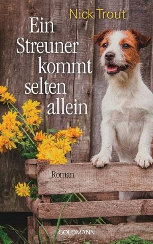 Ein Streuner kommt selten allein