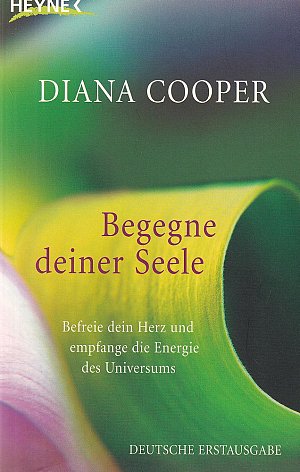Begegne deiner Seele