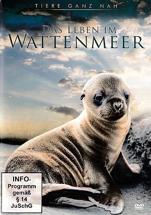 Das Leben im Wattenmeer [DVD]