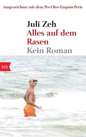 Alles auf dem Rasen - Kein Roman