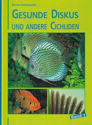 Gesunde Diskus und Cichliden