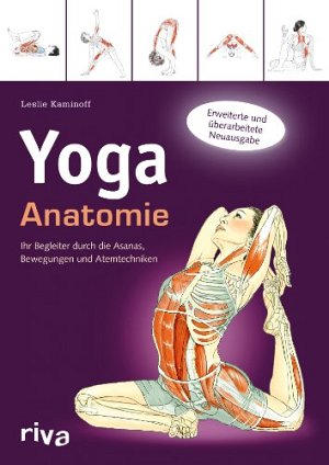 Yoga - Anatomie