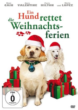 Ein Hund rettet die Weihnachtsferien [DVD]