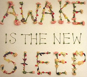 Awake Is the New Sleep [CD]