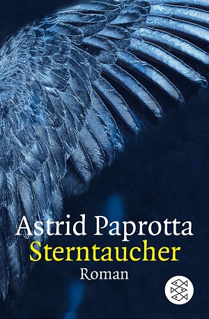 Sterntaucher (Fischer Taschenbücher)