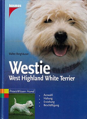 Westie - West Highland White Terrier