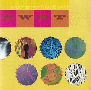 Popular music for unpopular people [CD]