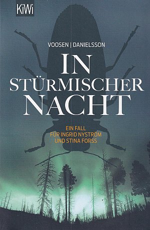 In stürmischer Nacht
