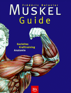 Muskel-Guide - Gezieltes Krafttraining, Anatomie