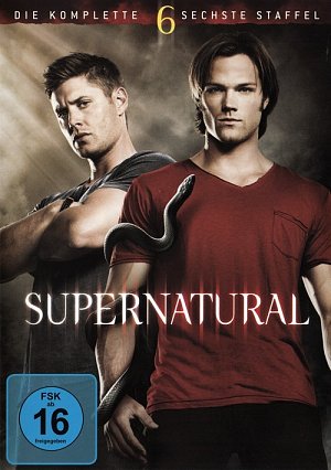Supernatural - Staffel 6  [DVD]
