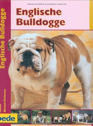 Englische Bulldogge - Praxisratgeber