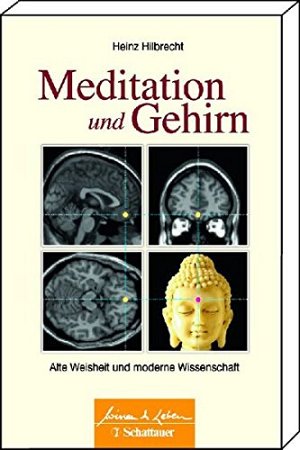 Meditation und Gehirn