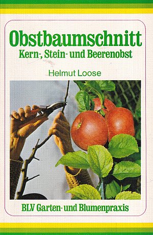 Obstbaumschnitt