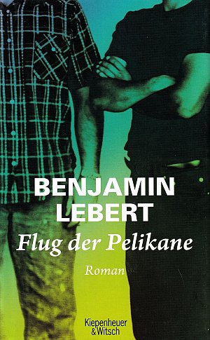 Der Flug der Pelikane