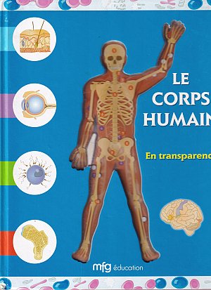 Le corps human