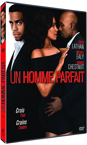 Un homme parfait [DVD]