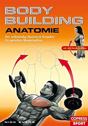 Bodybuilding - Anatomie