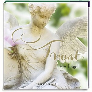 Trost der Engel