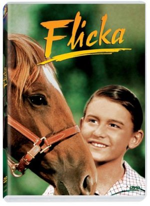 Flicka [DVD]