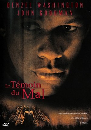 Le Témoin du mal [DVD]