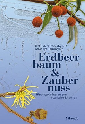 Erdbeerbaum und Zaubernuss