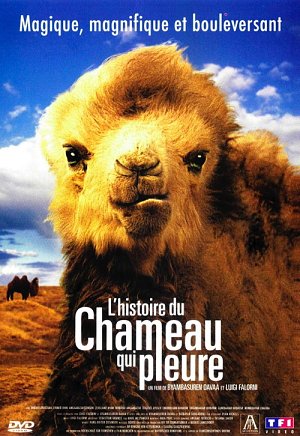 L'Histoire du chameau qui pleure [DVD]