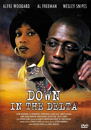 Down in the Delta [DVD]