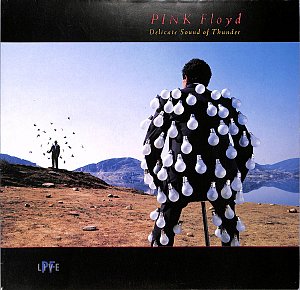 Delicate sound of thunder [Vinyl]