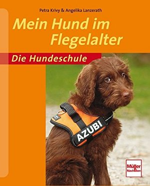 Mein Hund im Flegelalter - Die Hundeschule