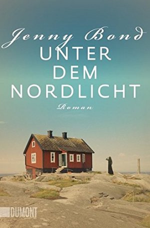 Unter dem Nordlicht