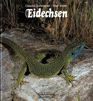 Eidechsen