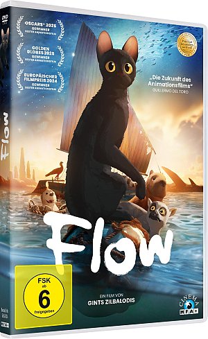 Flow [DVD]