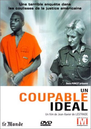 Un coupable idéal [DVD]