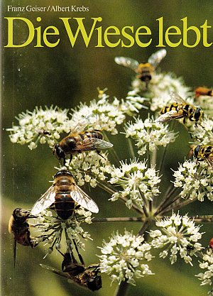 Die Wiese lebt