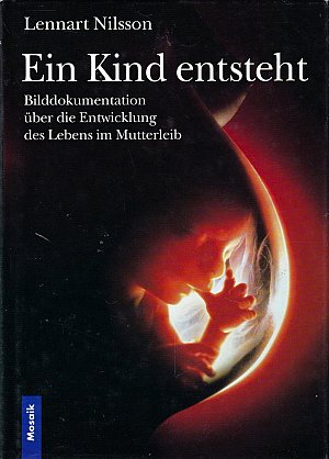 Ein Kind entsteht