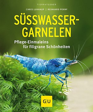 Süsswasser-Garnelen - Pflege-Einmaleins für filigrane Schönheiten