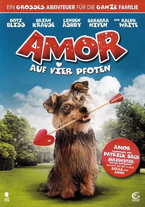 Amor auf vier Pfoten [DVD]