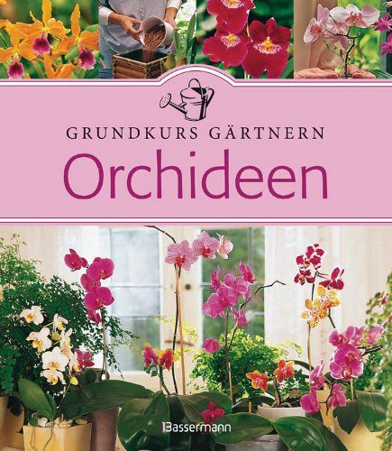Grundkurs Gärtnern - Orchideen
