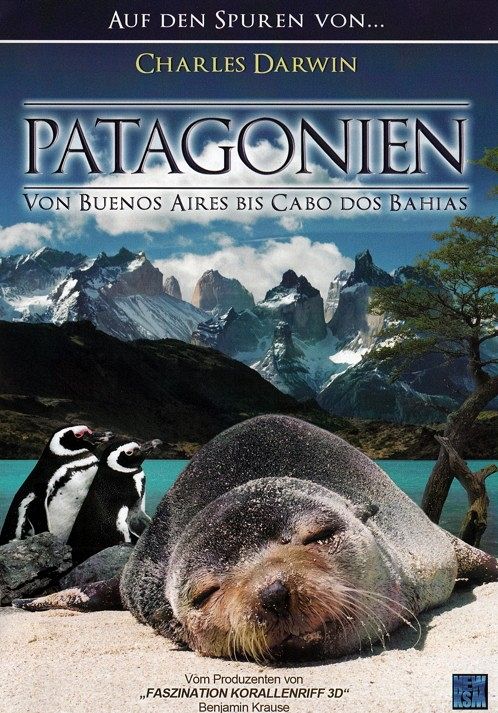 Patagonien - Von Buenos Aires bis Cabo Dos Bahias [DVD]