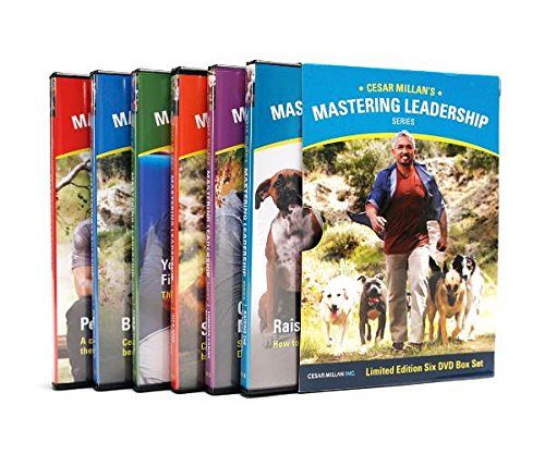 Cesar Millan's Mastering Leadership  [DVD]