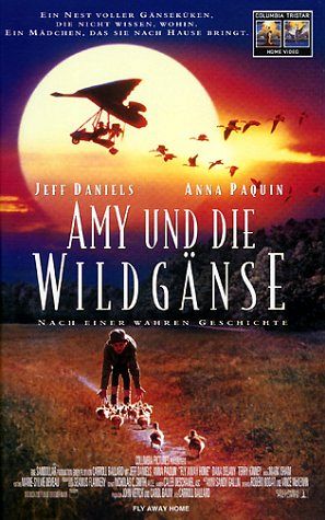 Amy und die Wildgänse (VHS) [DVD]