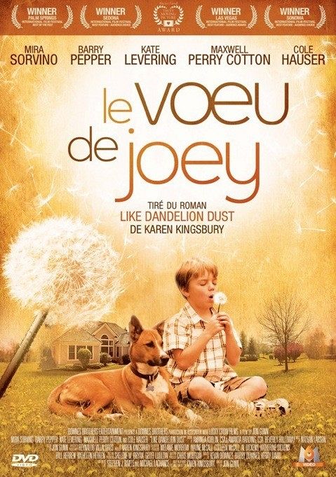 Le voeu de Joey [DVD]